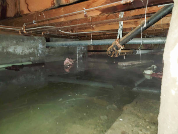 Best Water damage restoration mold remediation  in North Fond Du Lac, WI