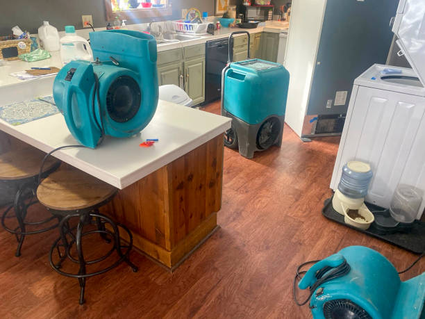 Best Professional water damage repair  in North Fond Du Lac, WI