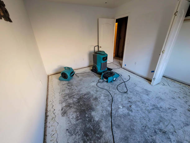 Best Flood restoration services  in North Fond Du Lac, WI