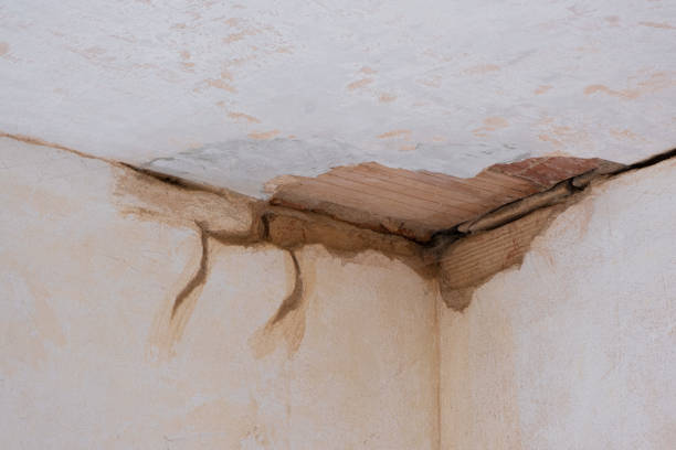 Best Flood restoration services  in North Fond Du Lac, WI