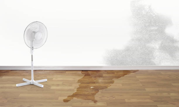 Best Water damage cleanup near me  in North Fond Du Lac, WI