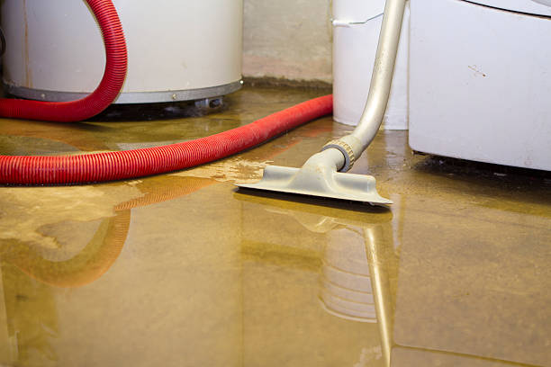 Best Residential water damage restoration  in North Fond Du Lac, WI