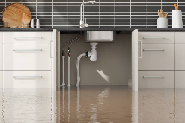 Best Basement water damage restoration  in North Fond Du Lac, WI