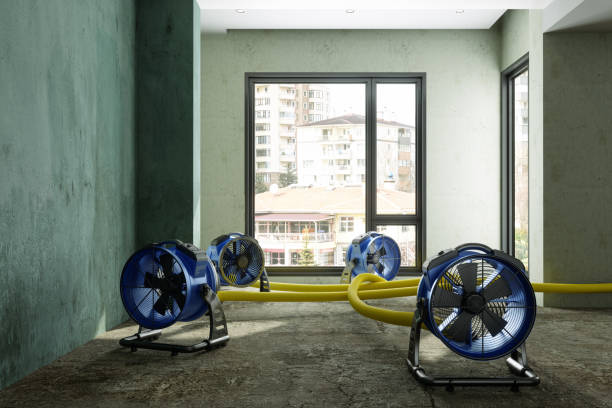 Best 24/7 water damage repair  in North Fond Du Lac, WI